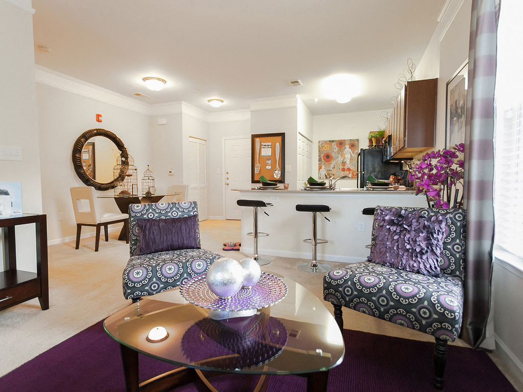 Photos and Video of 1200 Acqua in Petersburg, VA