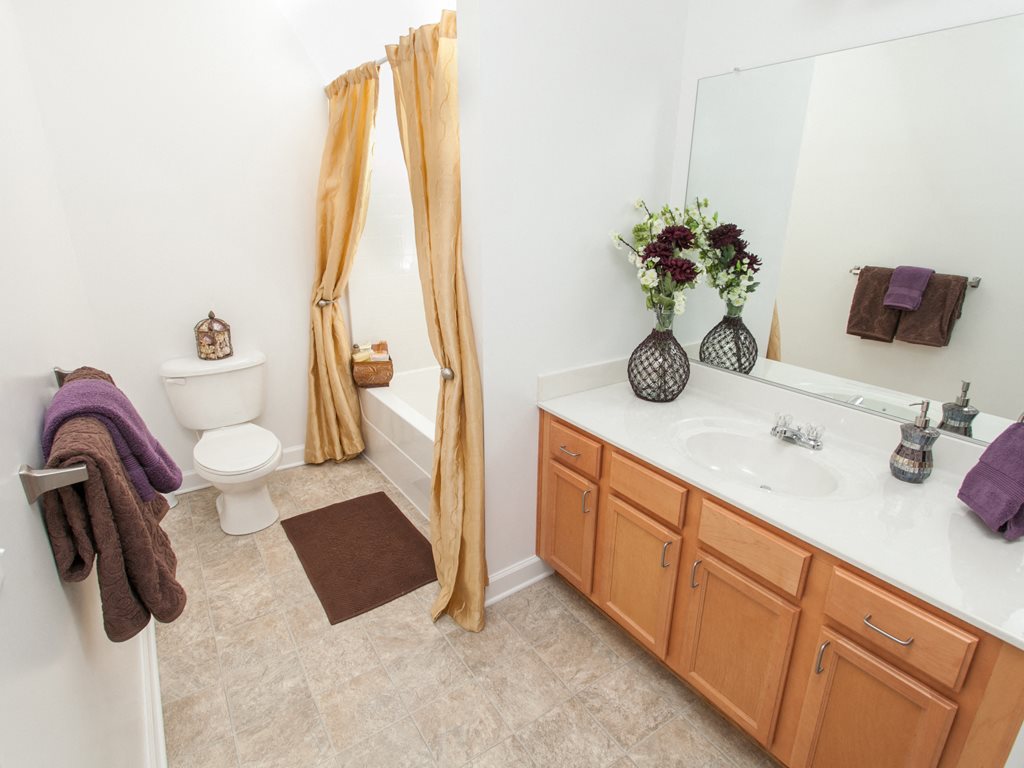 Photos and Video of 900 Acqua Senior Apartments in Virginia Beach, VA