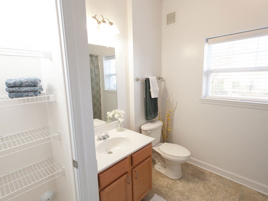 Photos and Video of 900 Acqua Senior Apartments in Virginia Beach, VA