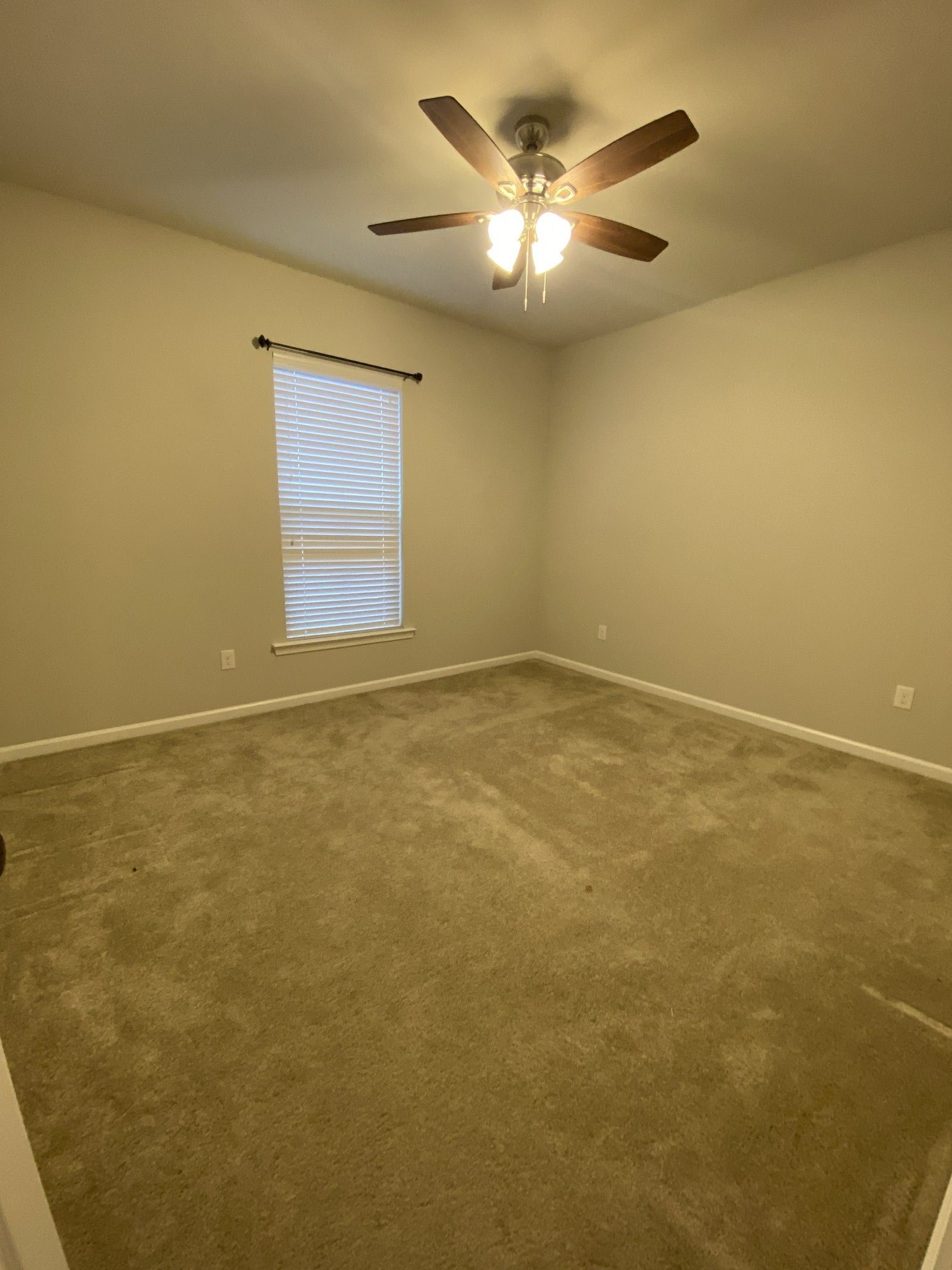 Gallery Photo 15