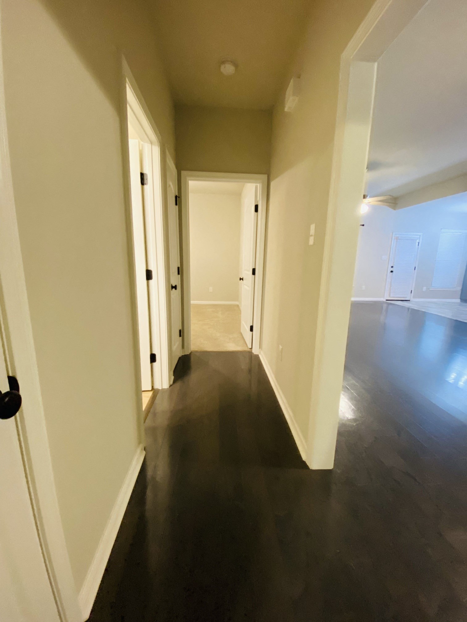 Gallery Photo 13