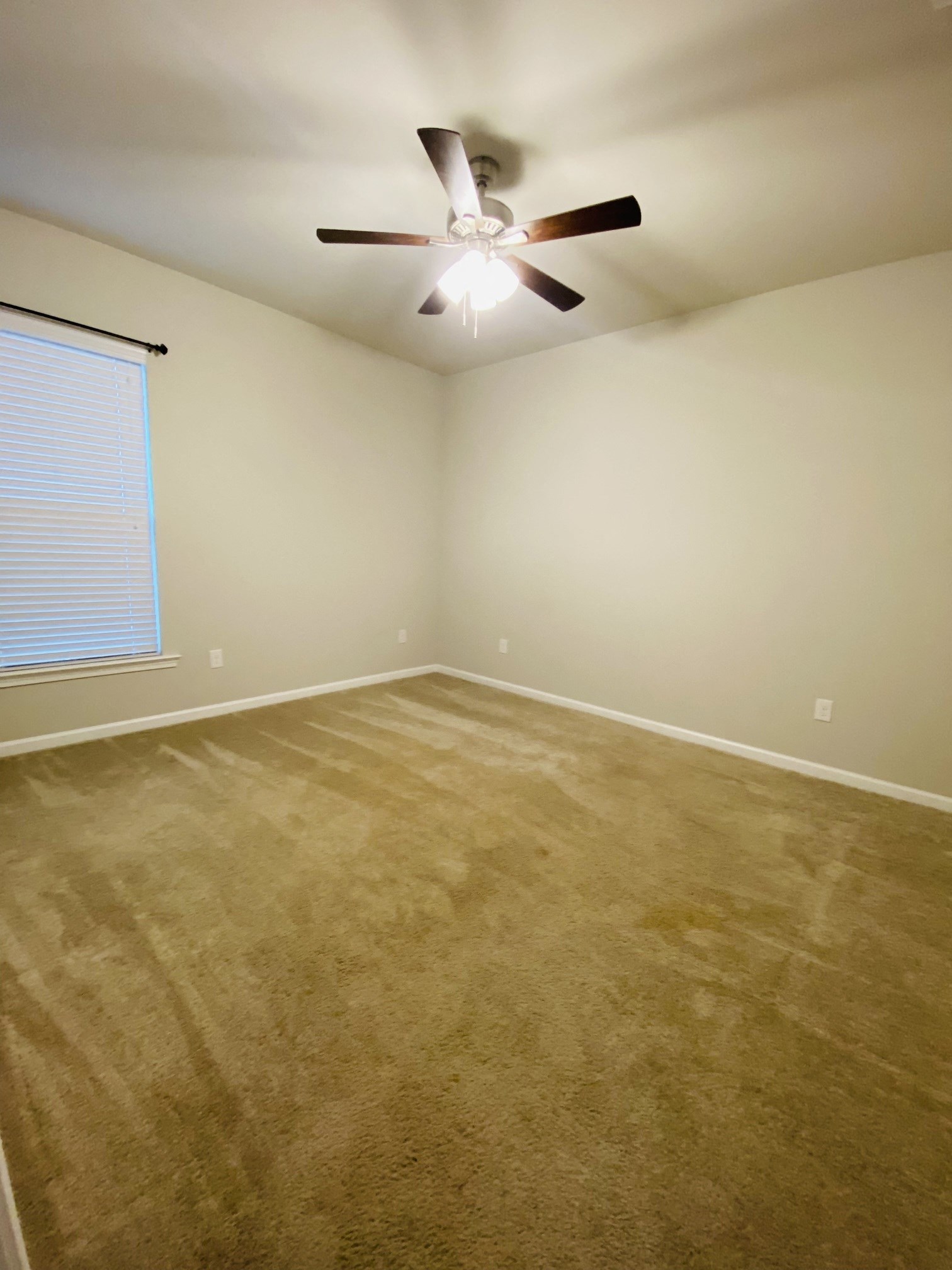 Gallery Photo 9