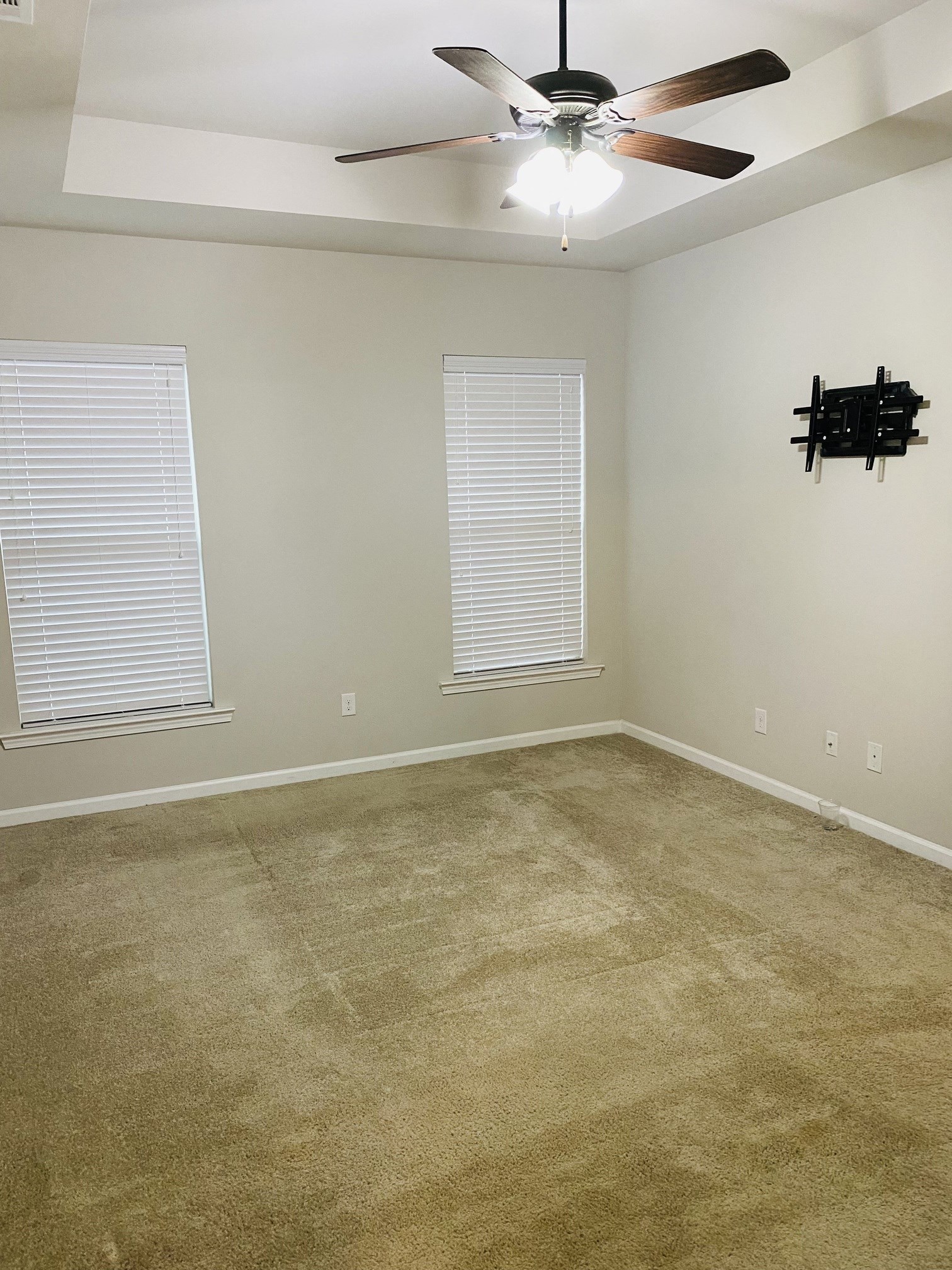 Gallery Photo 19