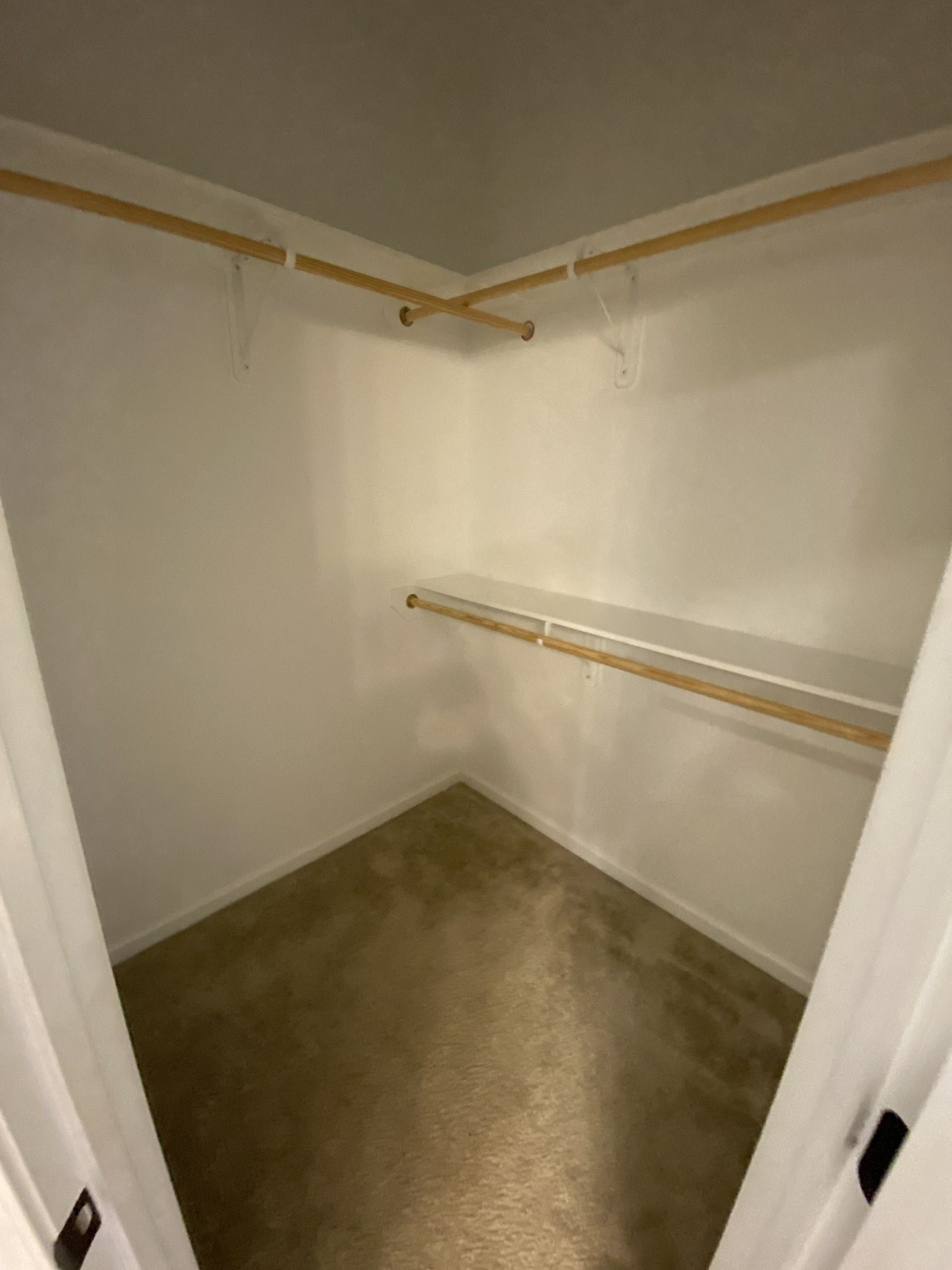 Gallery Photo 6
