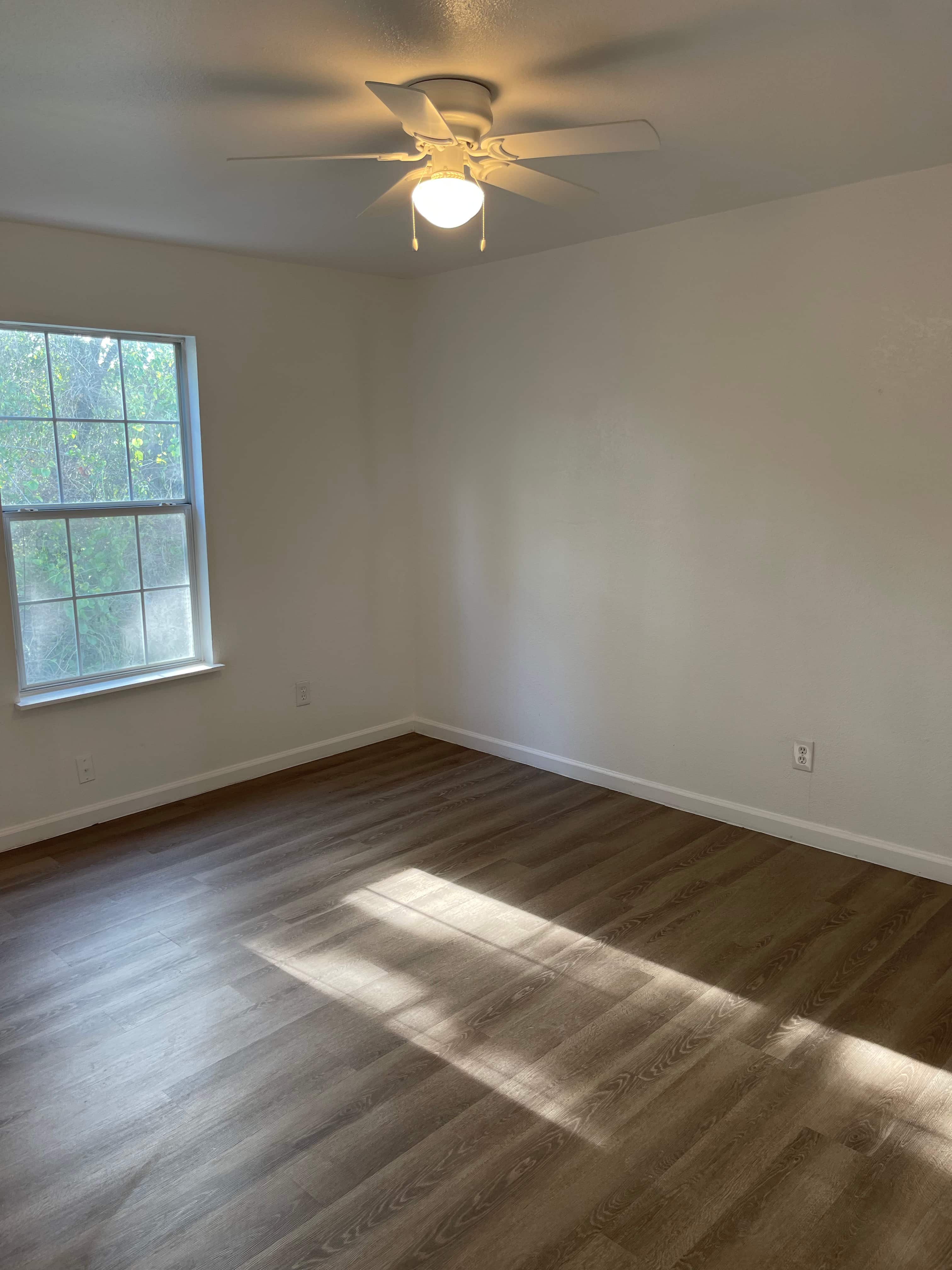 Gallery Photo 8