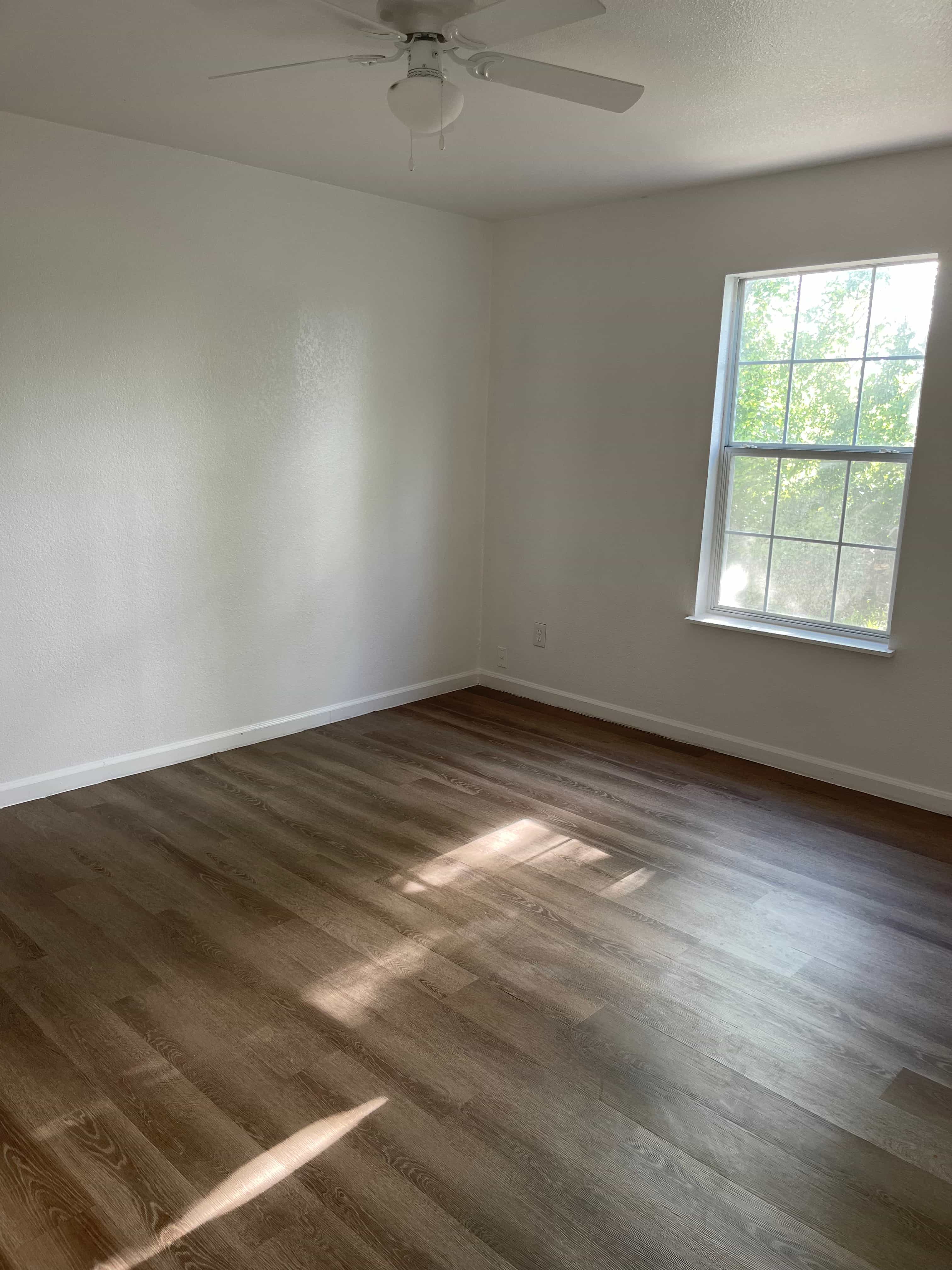 Gallery Photo 6