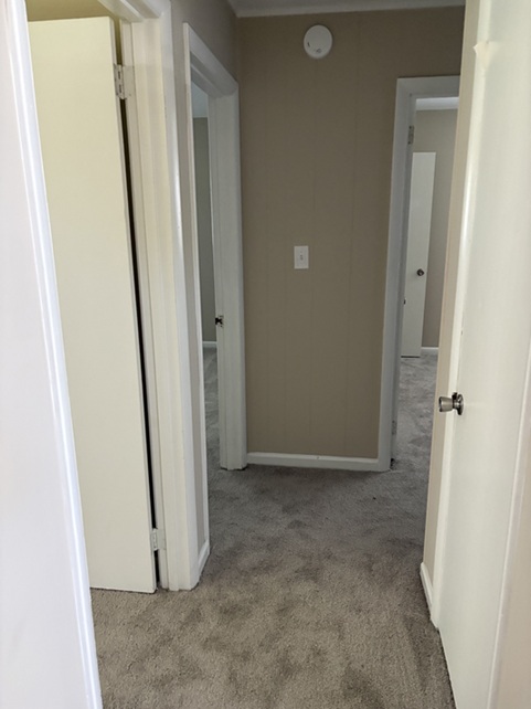 Gallery Photo 8