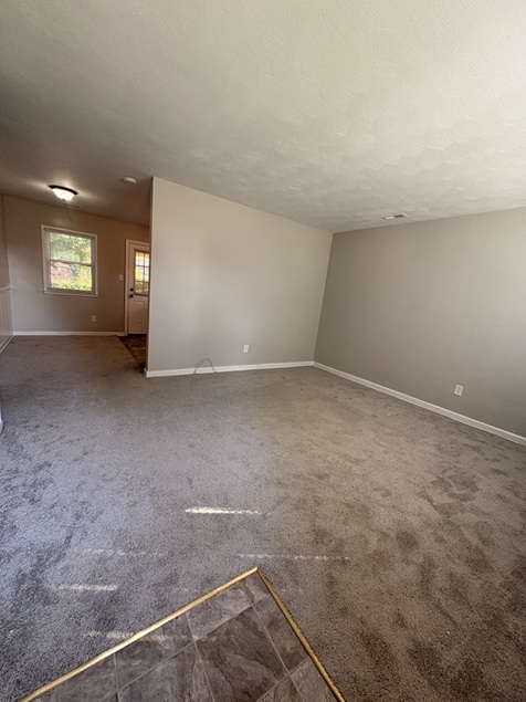 Gallery Photo 3