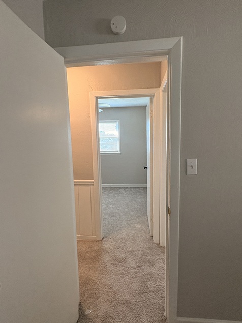 Gallery Photo 27