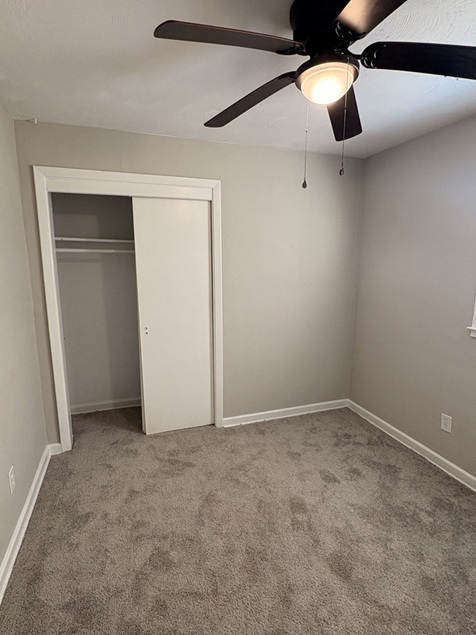Gallery Photo 29