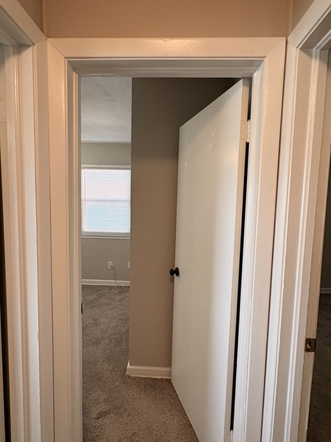 Gallery Photo 32