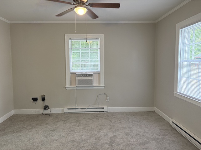 Gallery Photo 4