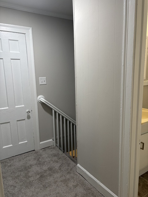 Gallery Photo 11