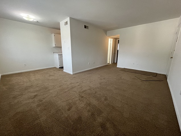 Gallery Photo 4