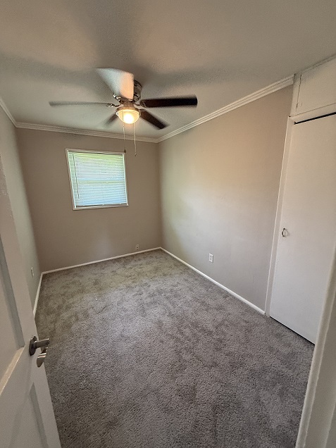 Gallery Photo 9