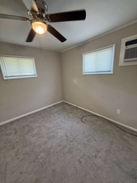 Gallery Photo 11