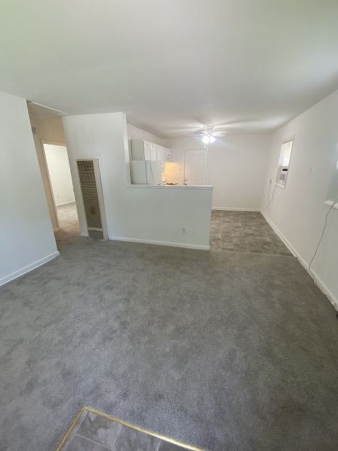 Gallery Photo 5