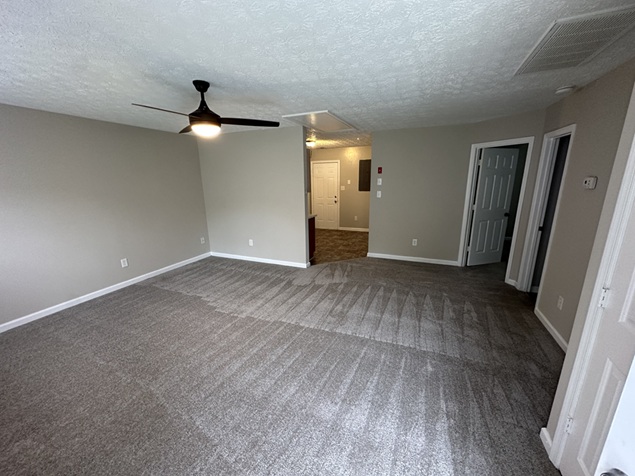 Gallery Photo 2