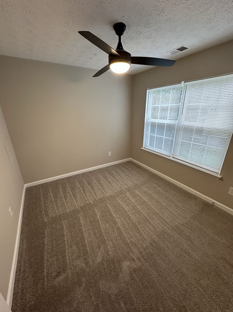 Gallery Photo 7