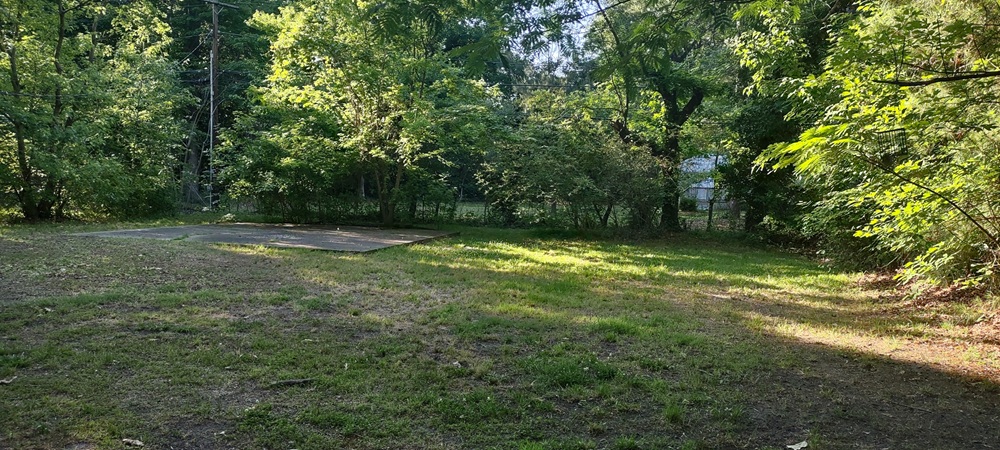 Gallery Photo 13