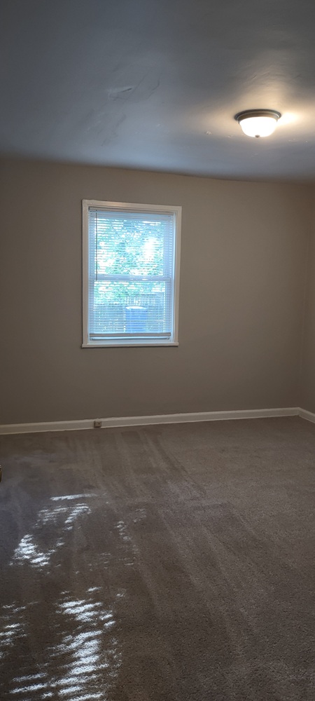Gallery Photo 8