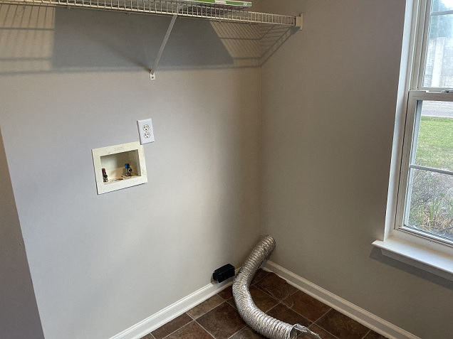 Gallery Photo 11