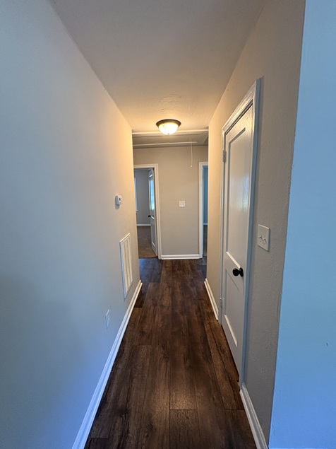 Gallery Photo 13
