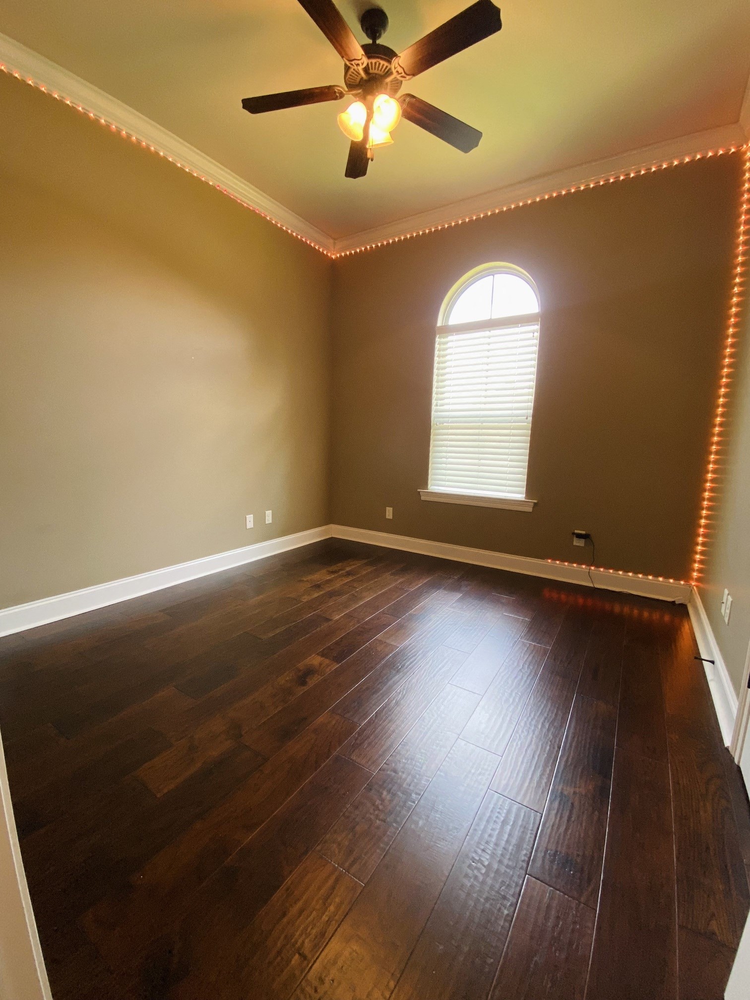 Gallery Photo 18