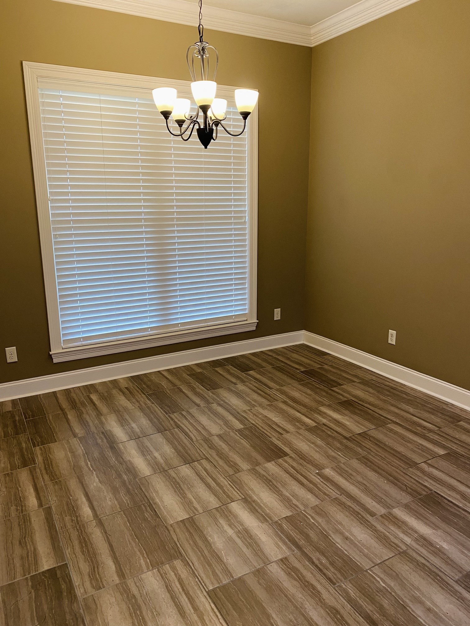 Gallery Photo 43