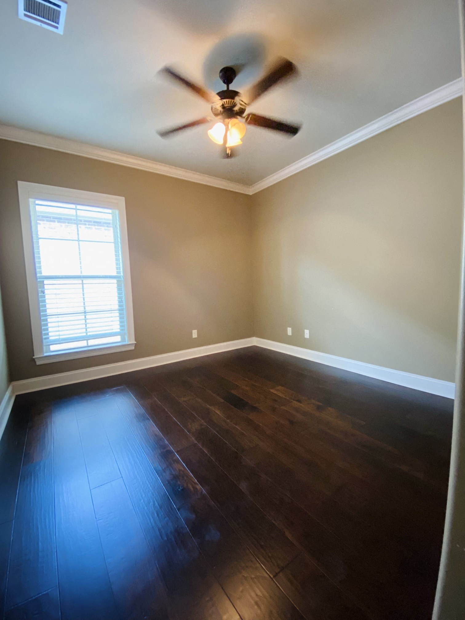 Gallery Photo 15