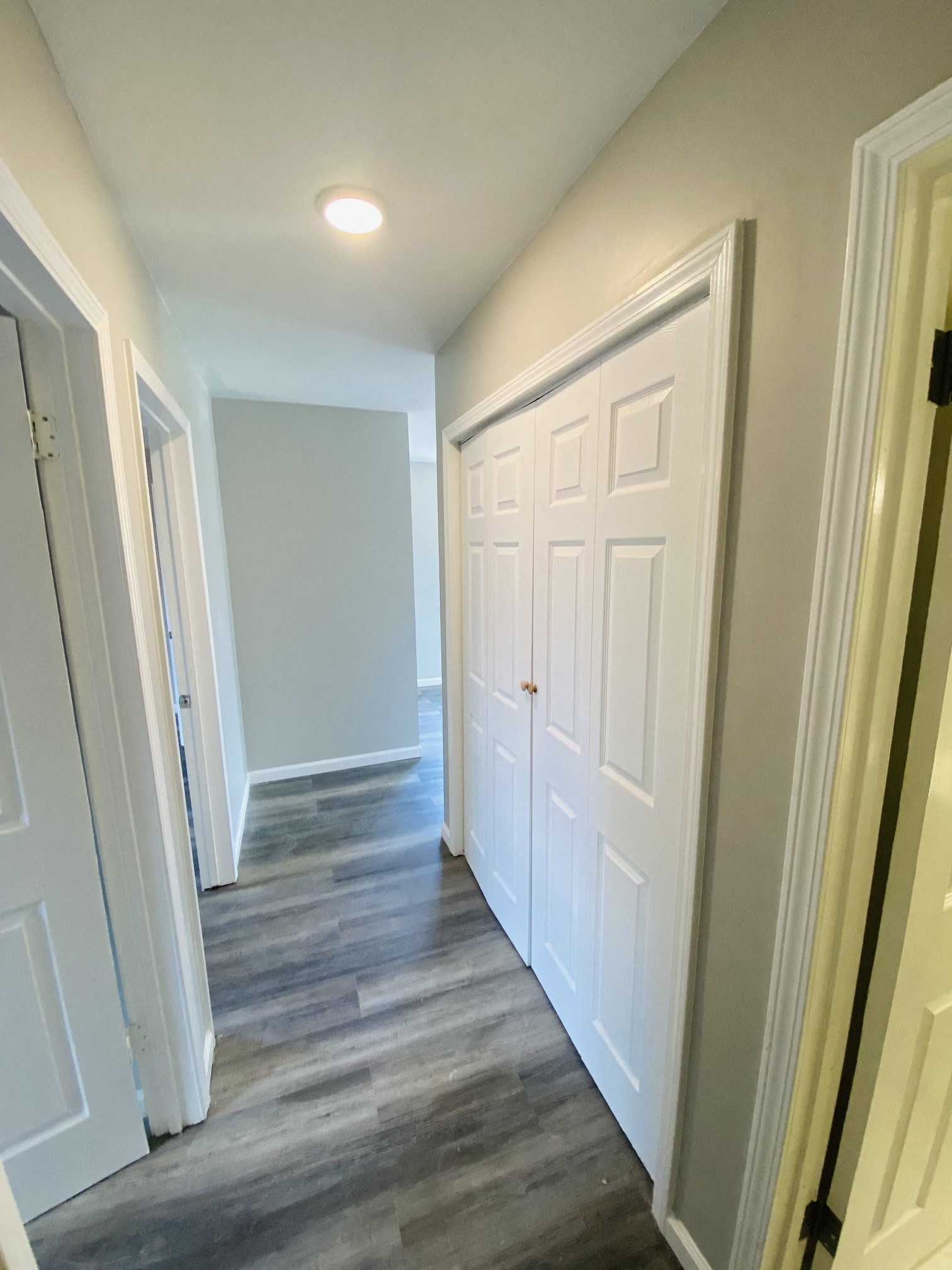 Gallery Photo 2