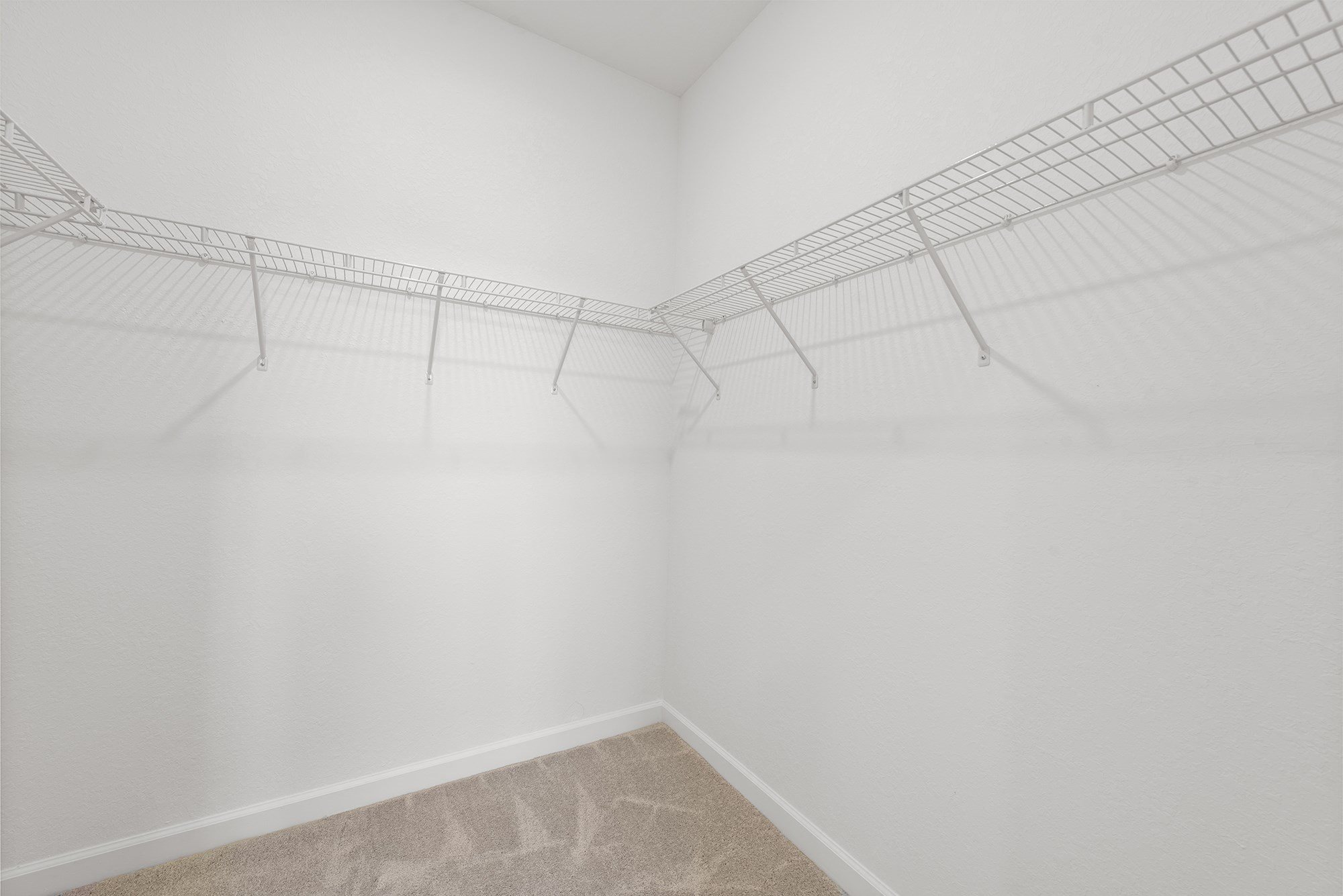 Gallery Photo 6