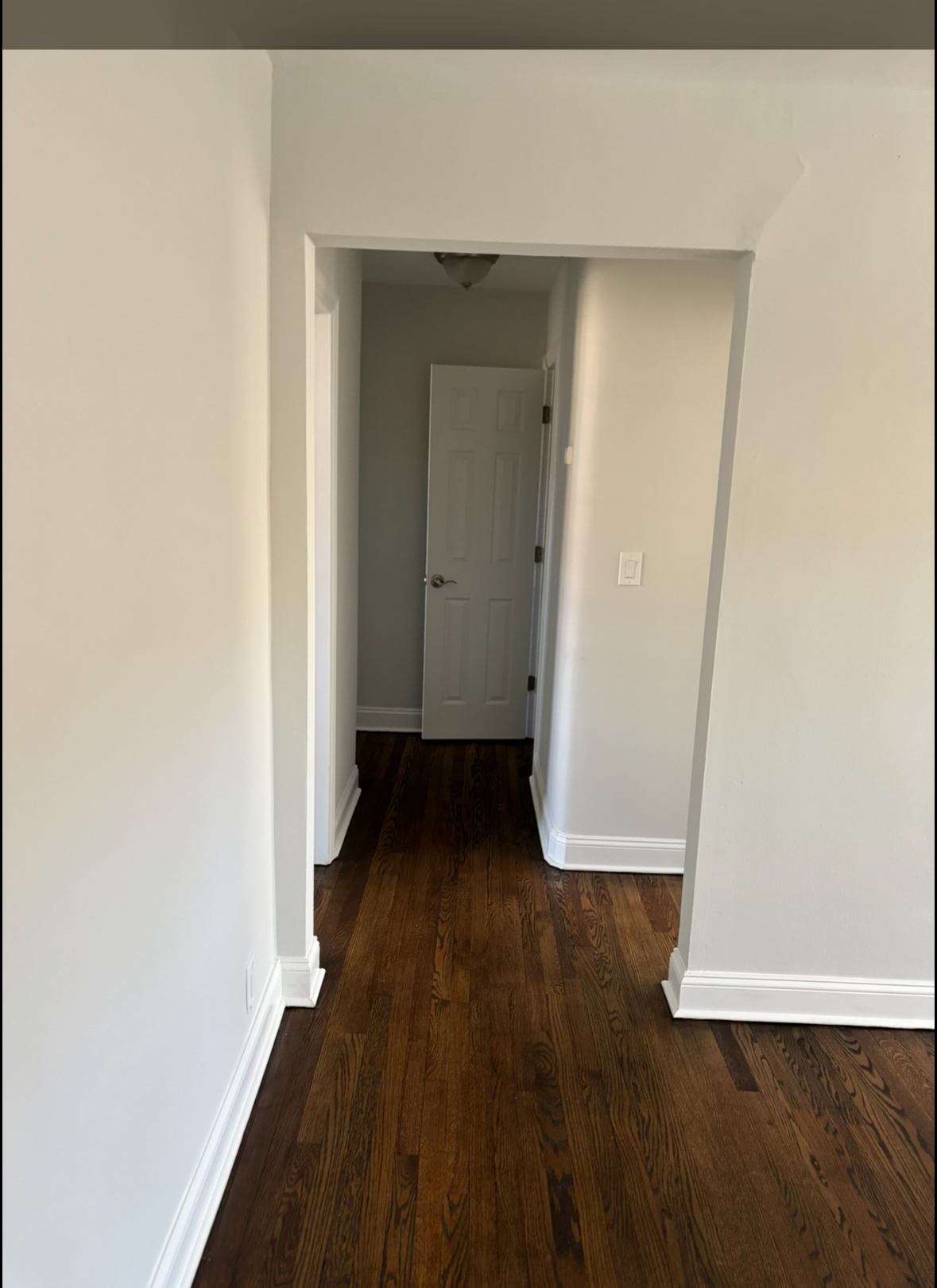 Gallery Photo 10