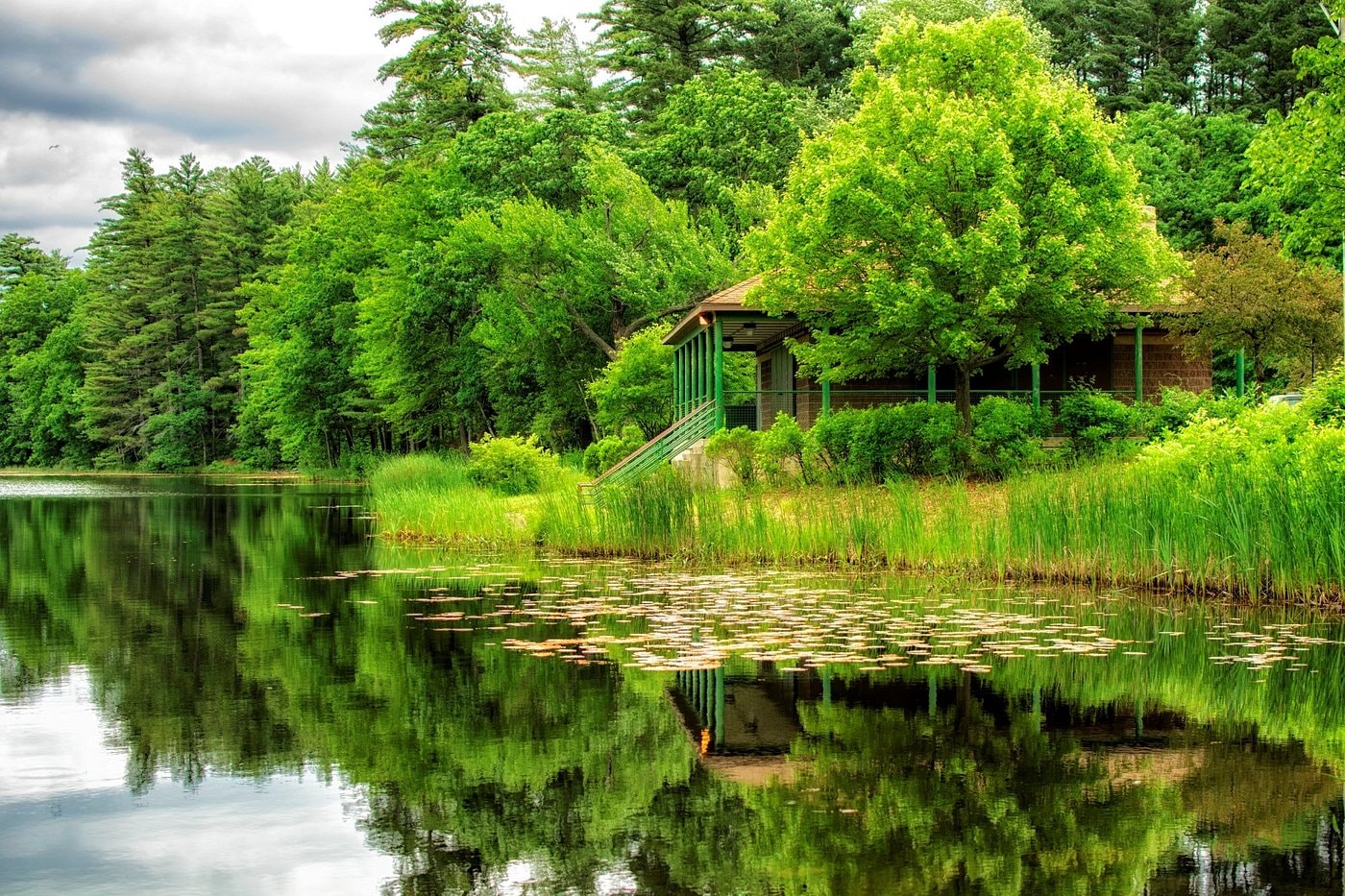 a cabin in the woods next to a body of water