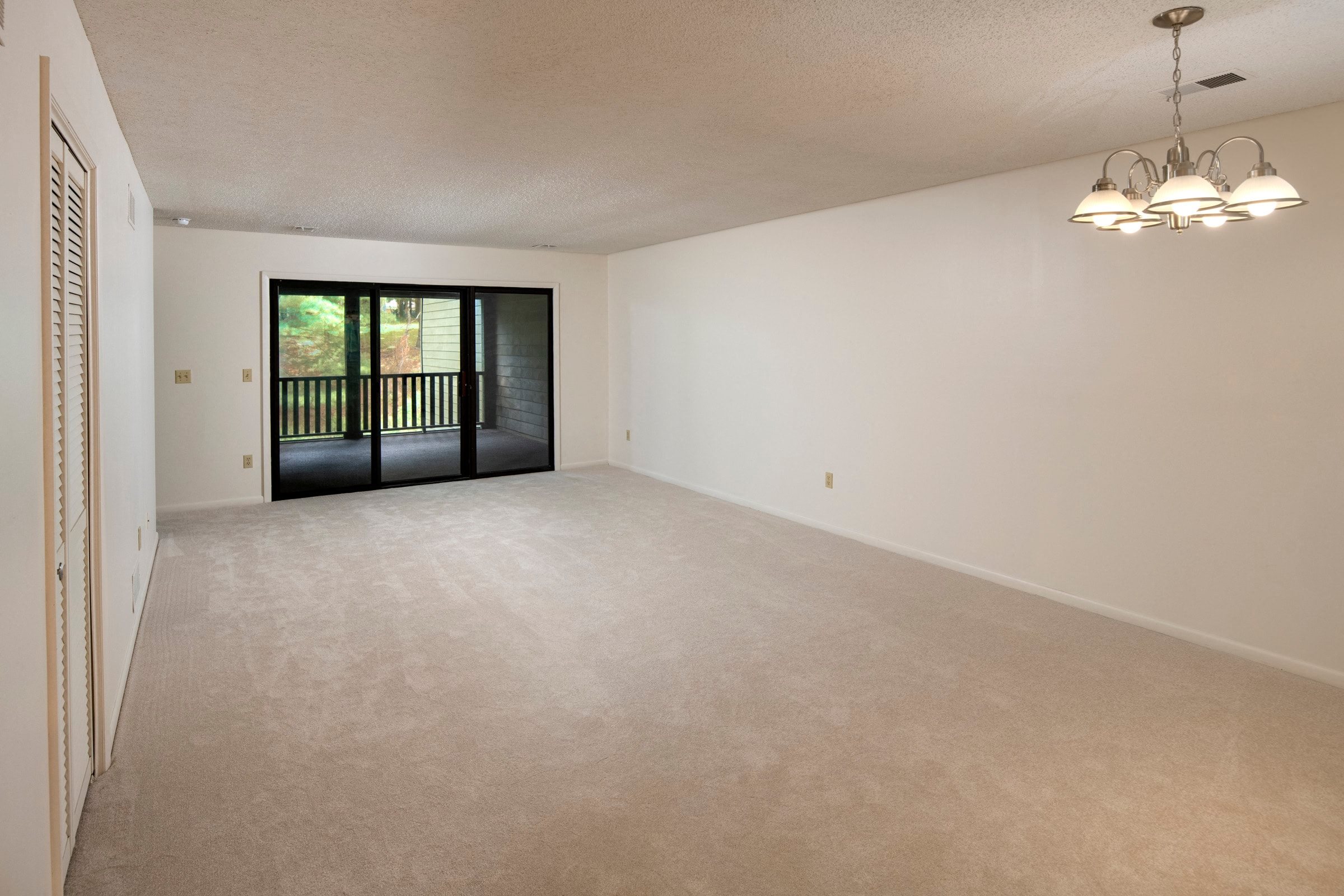 Gallery Photo 11
