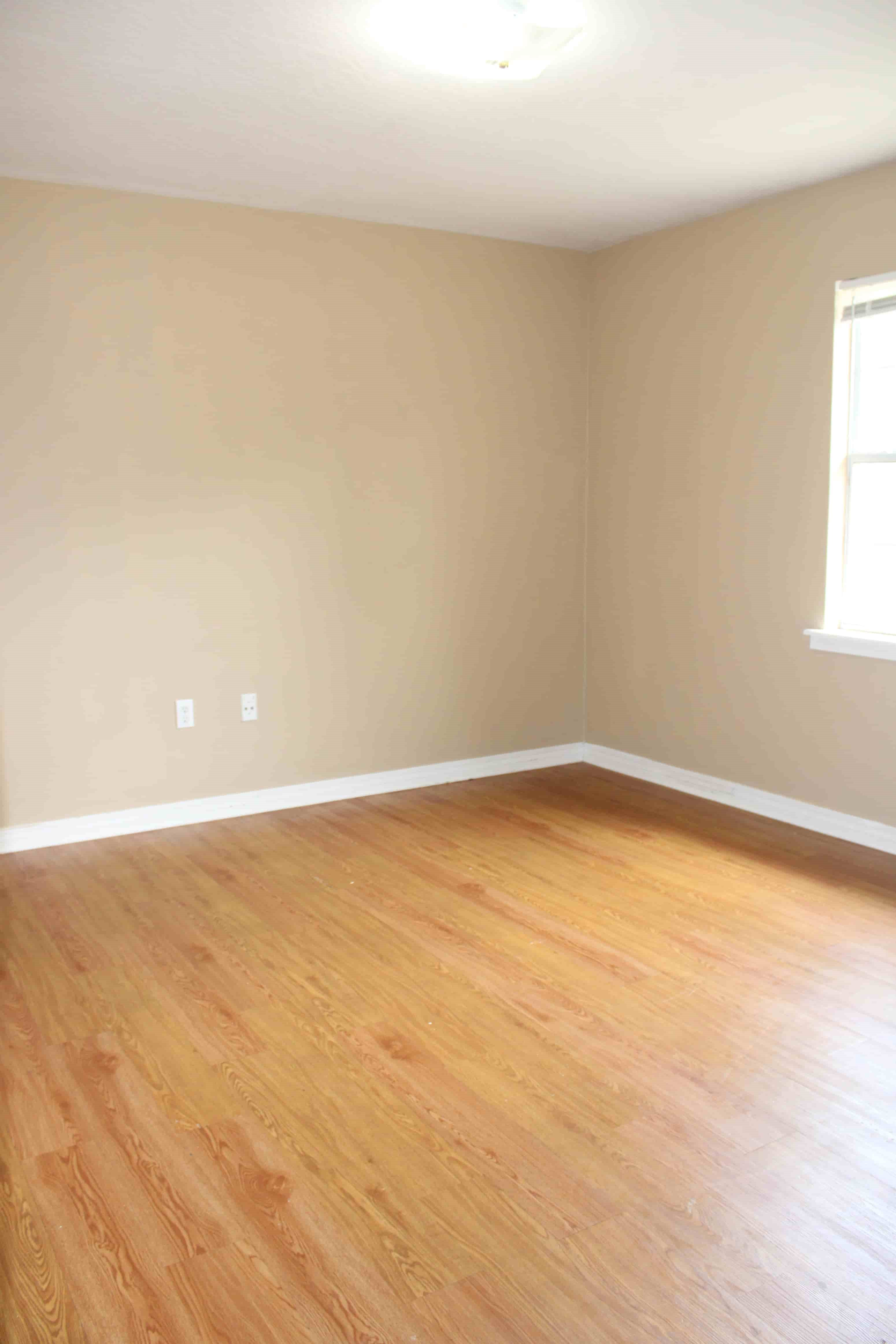 Gallery Photo 20