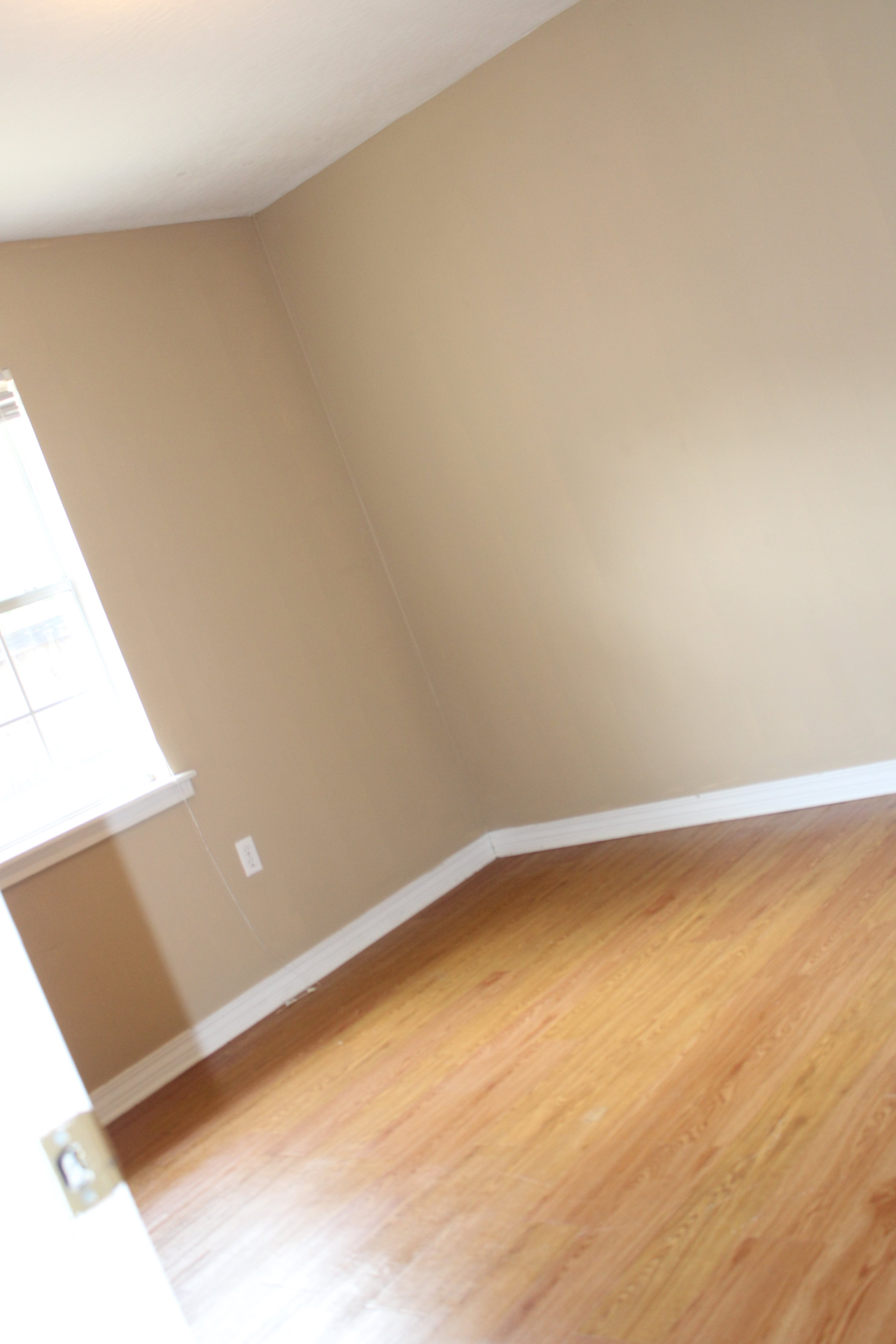 Gallery Photo 26