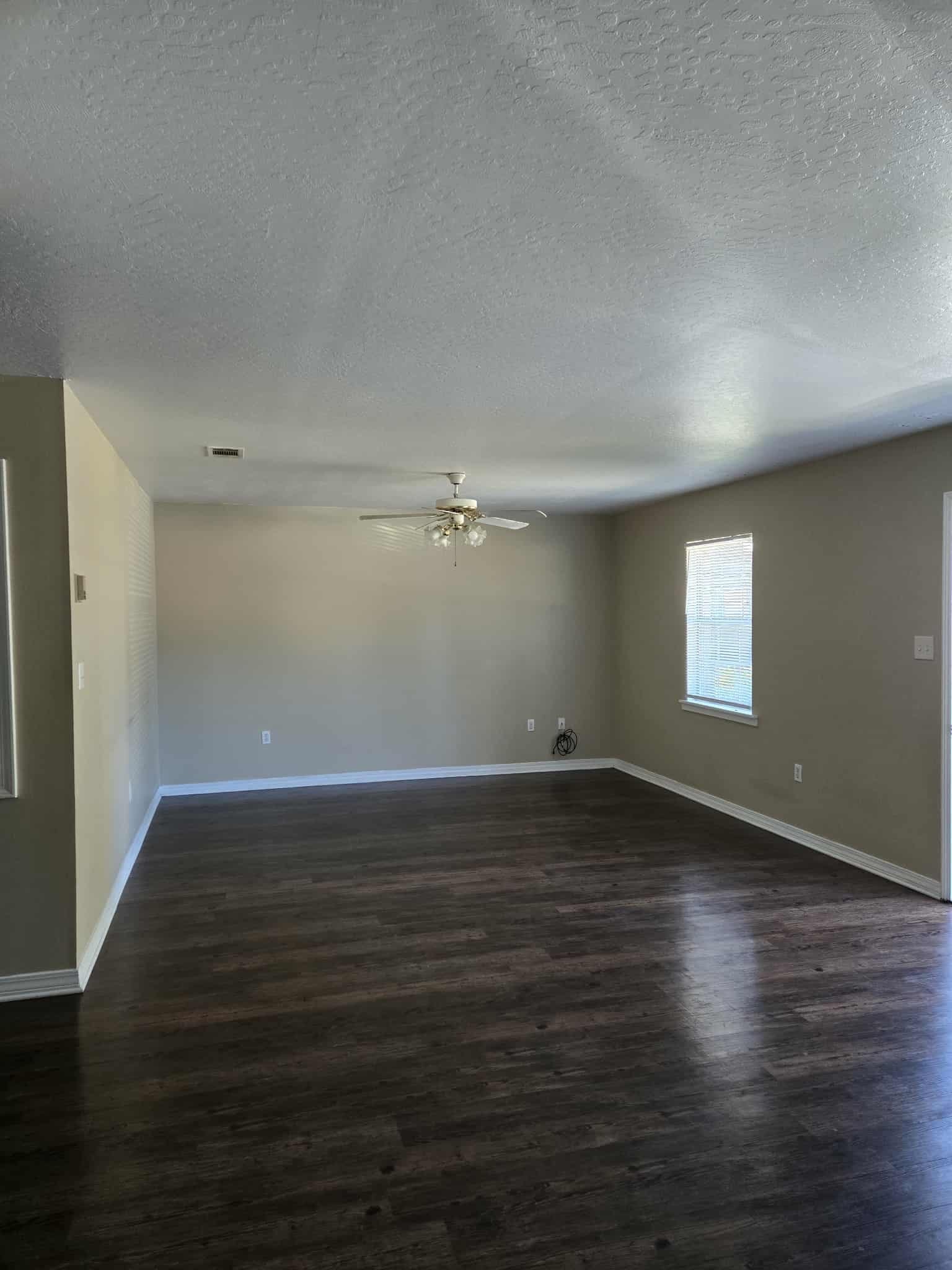 Gallery Photo 5