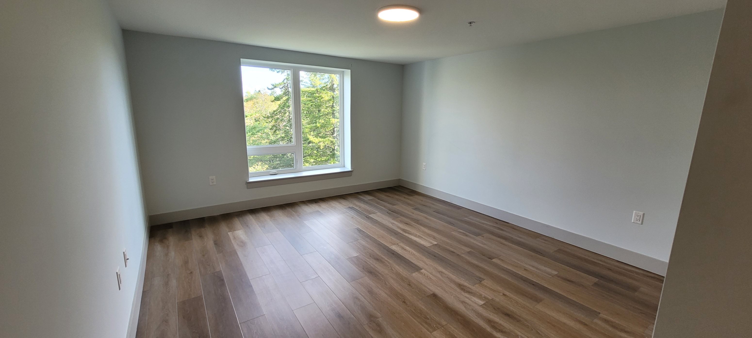 Gallery Photo 15