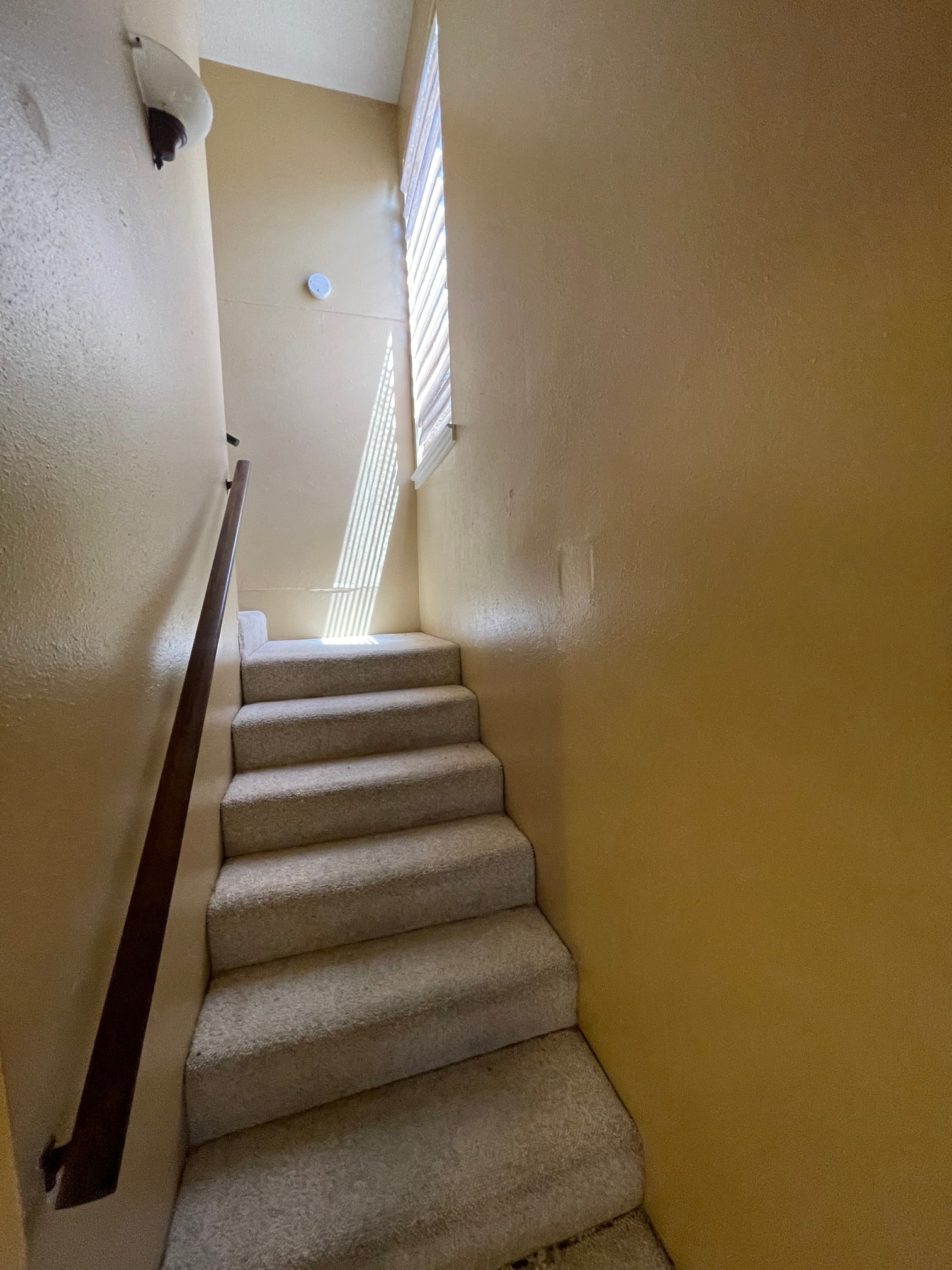 Gallery Photo 8
