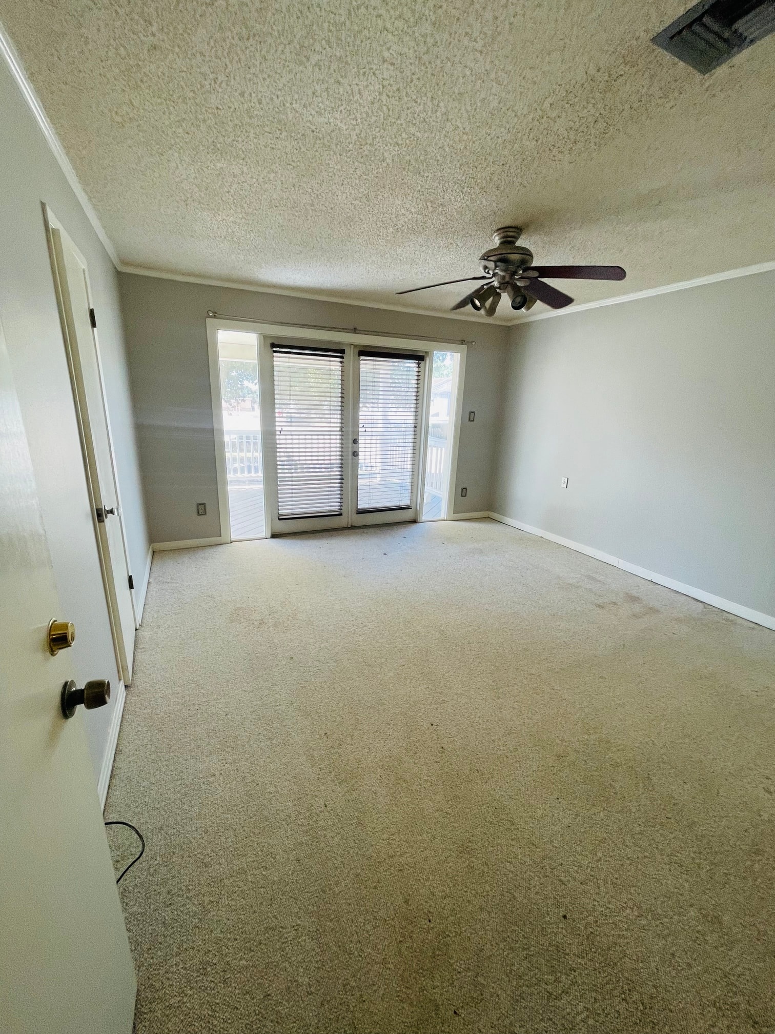 Gallery Photo 14