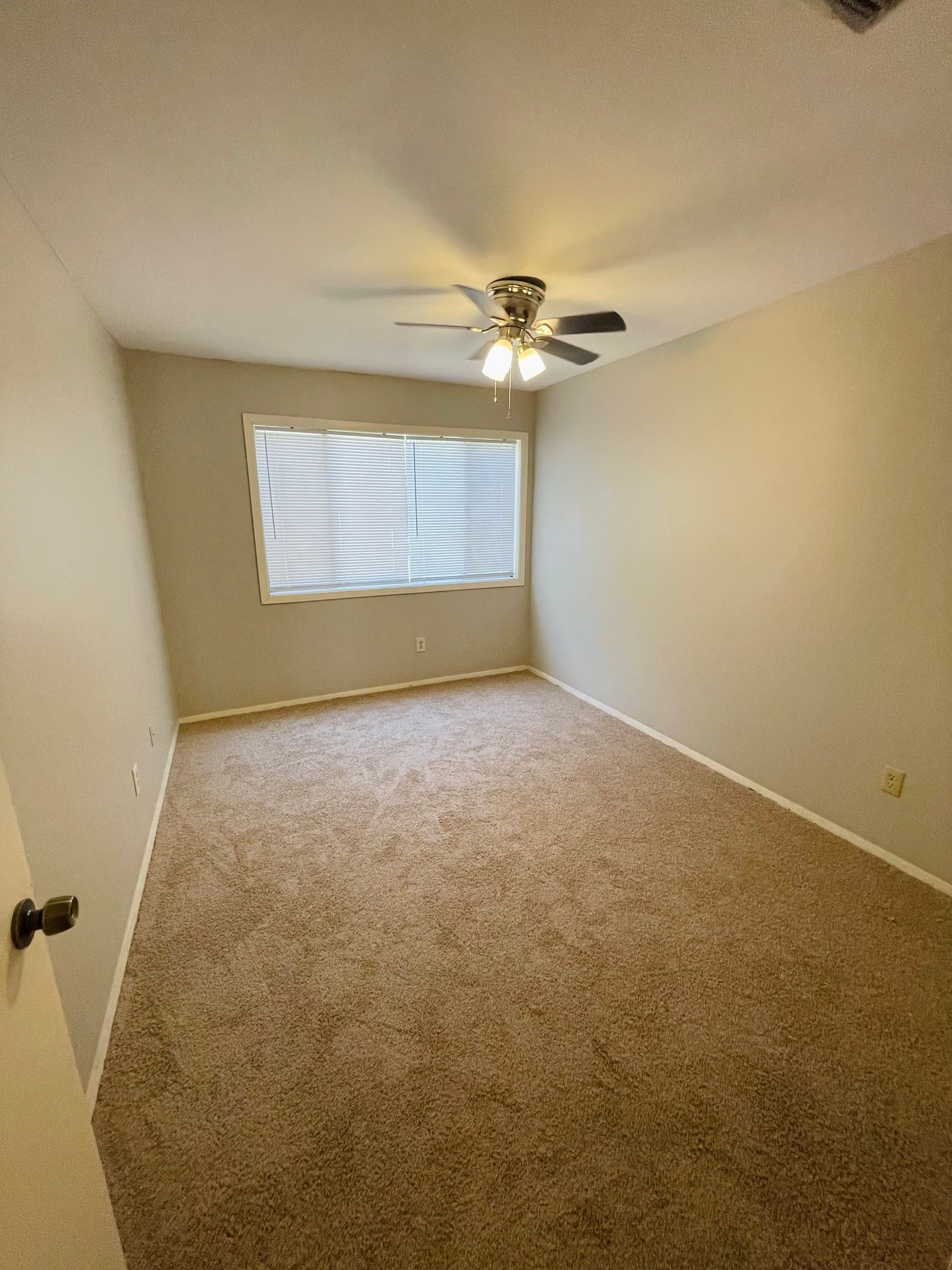 Gallery Photo 13
