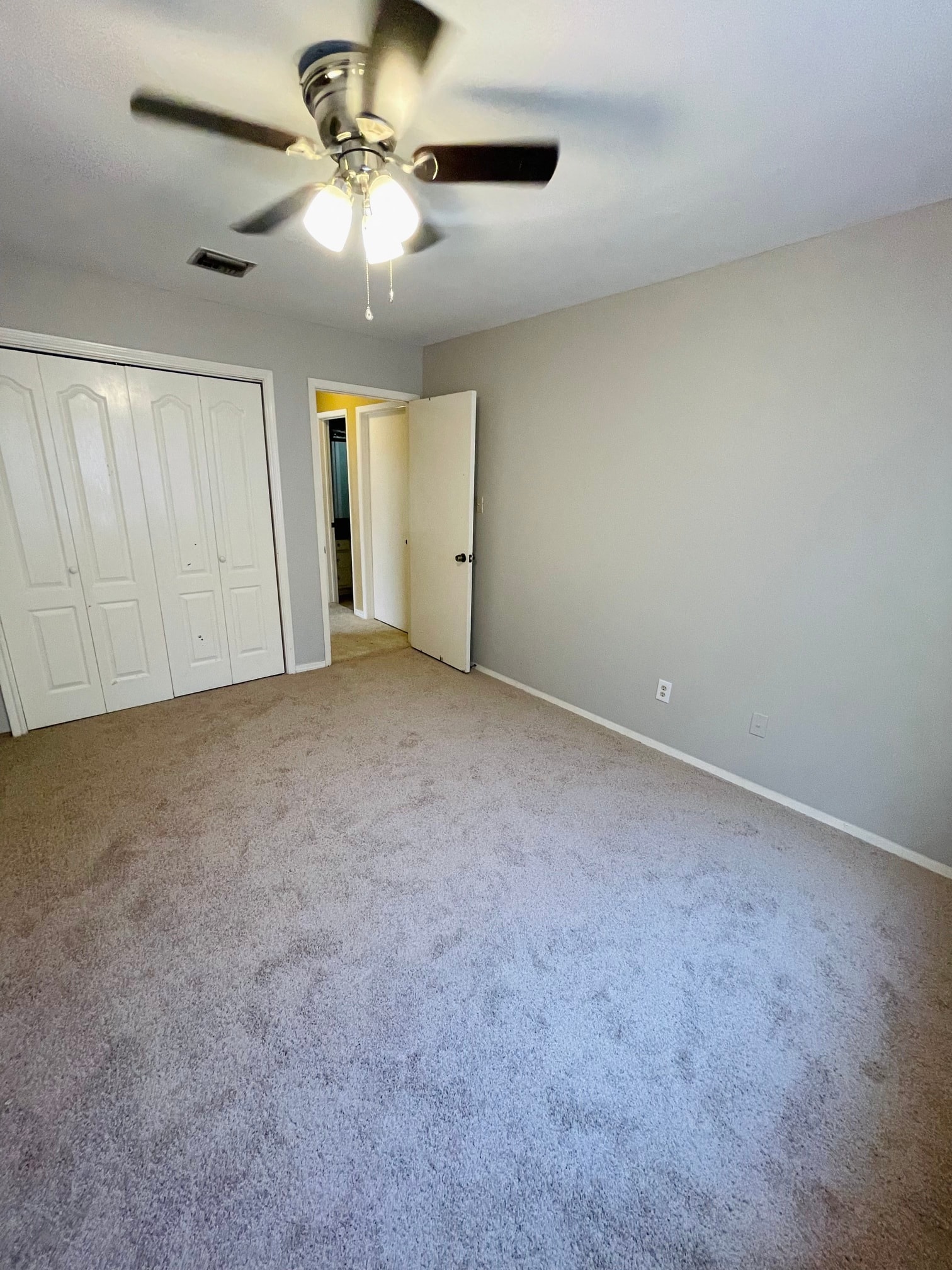 Gallery Photo 7