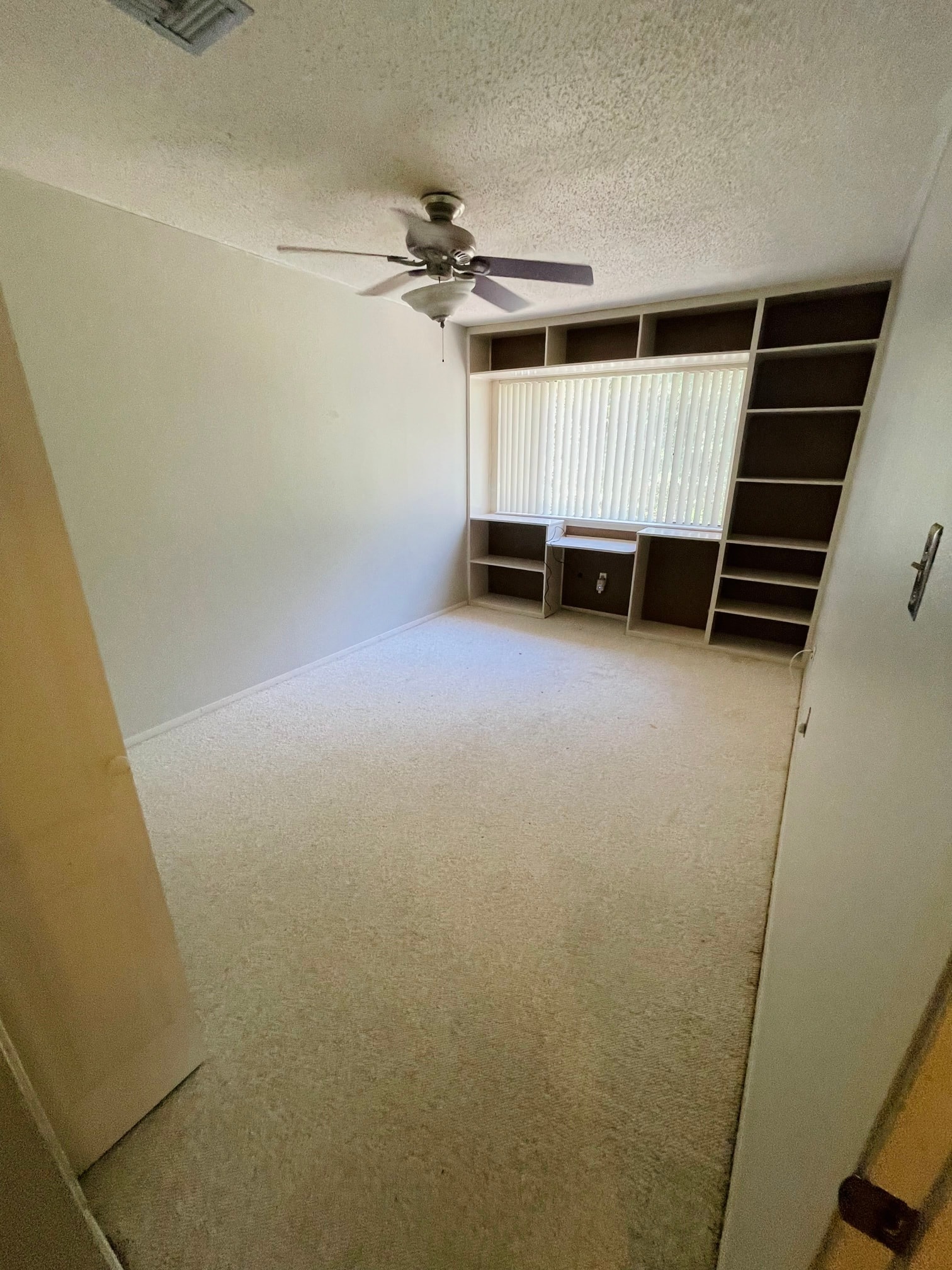 Gallery Photo 17