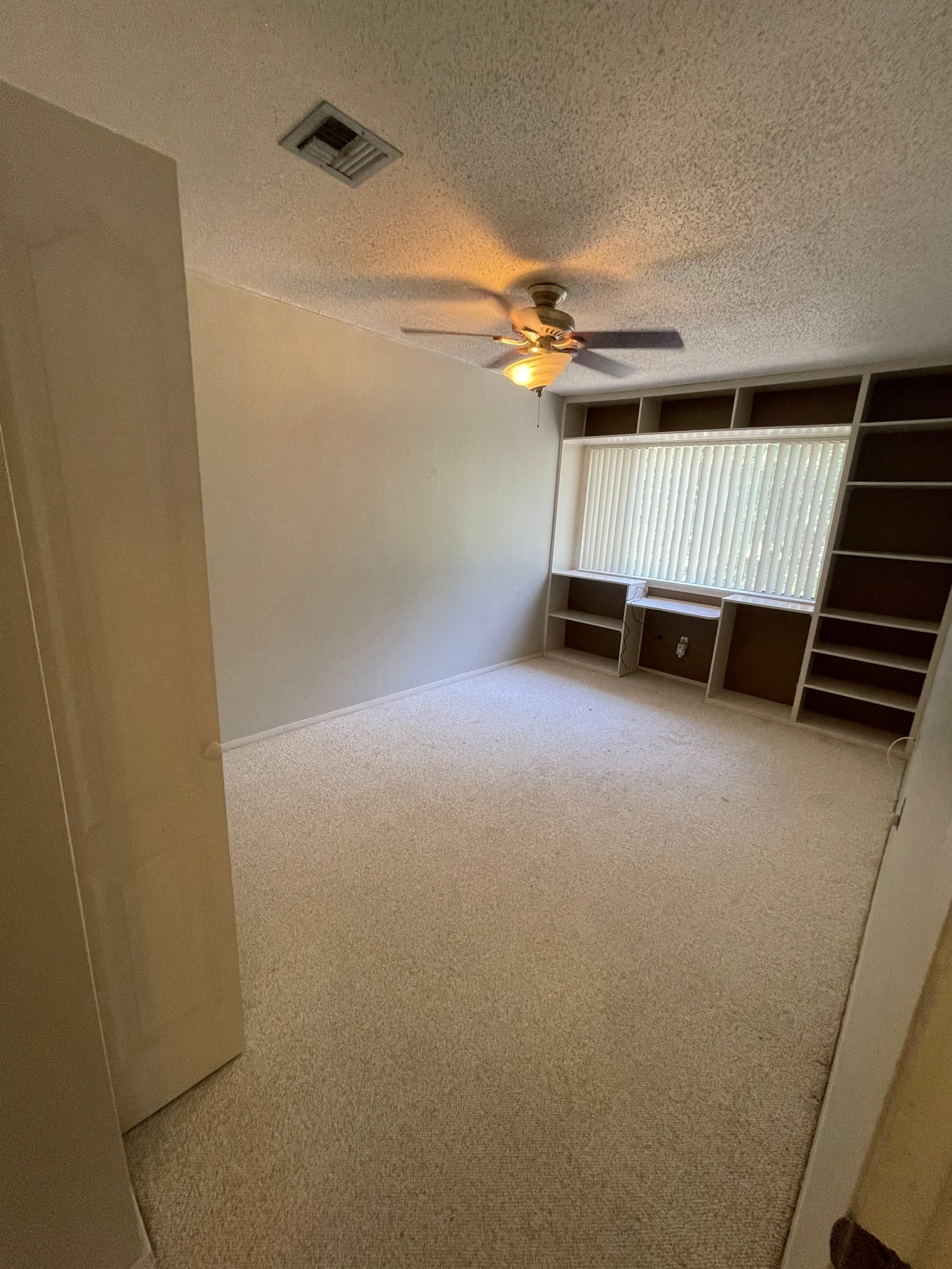 Gallery Photo 16