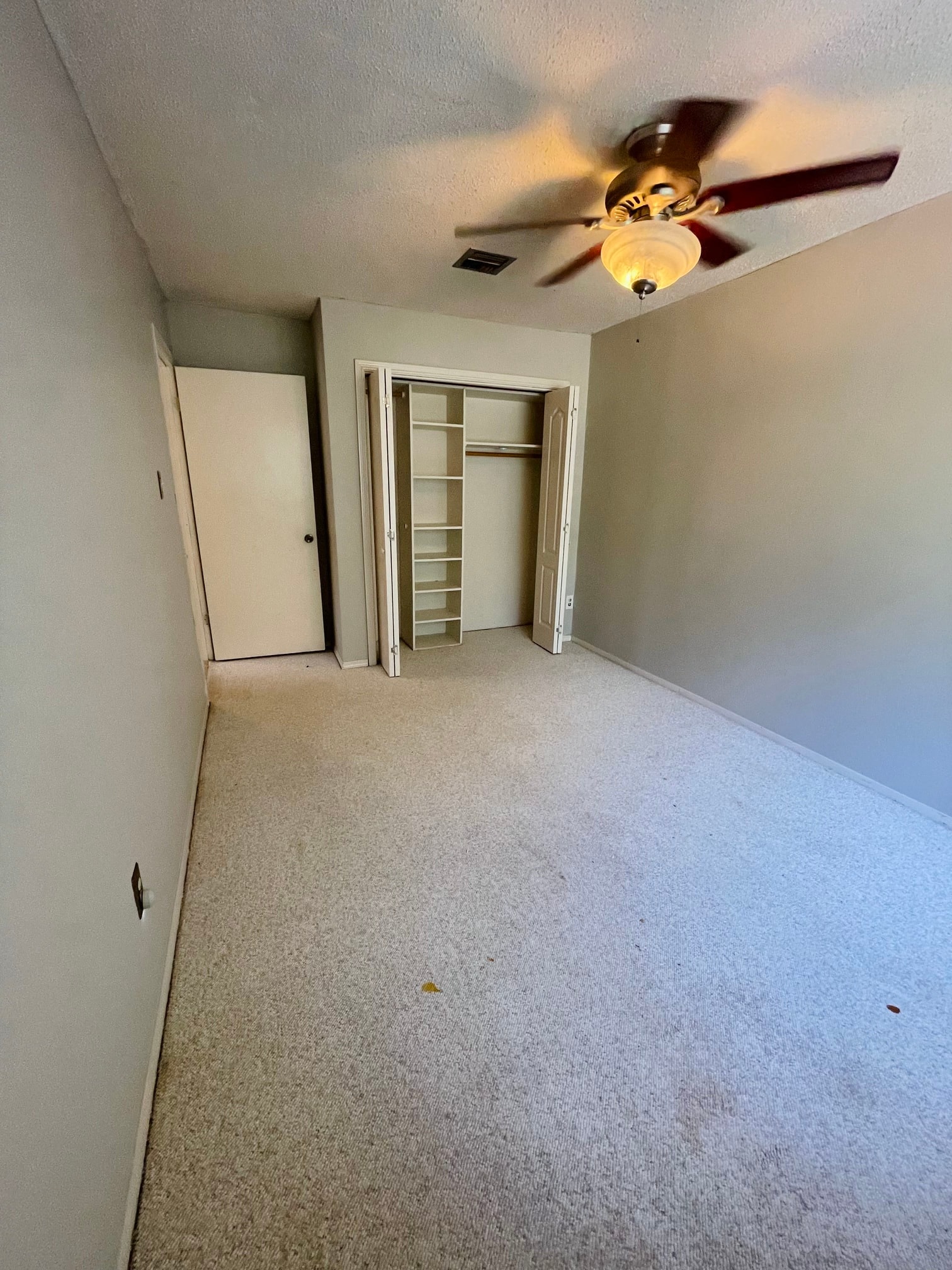 Gallery Photo 19