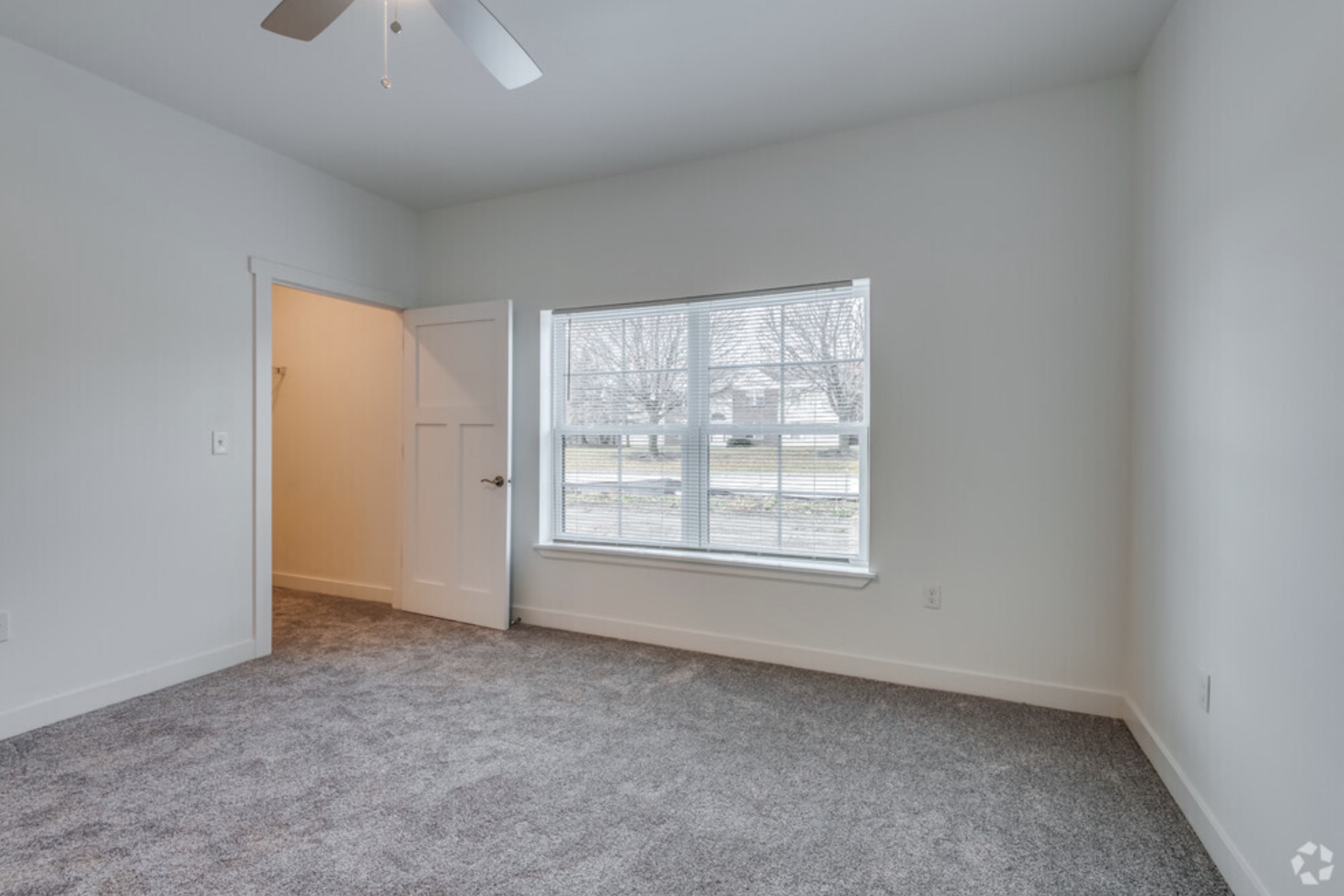 Gallery Photo 5