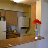 Gallery Photo 3