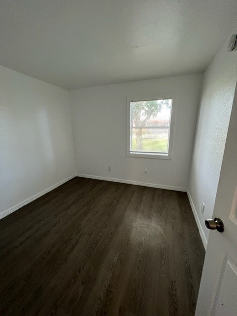 Gallery Photo 10