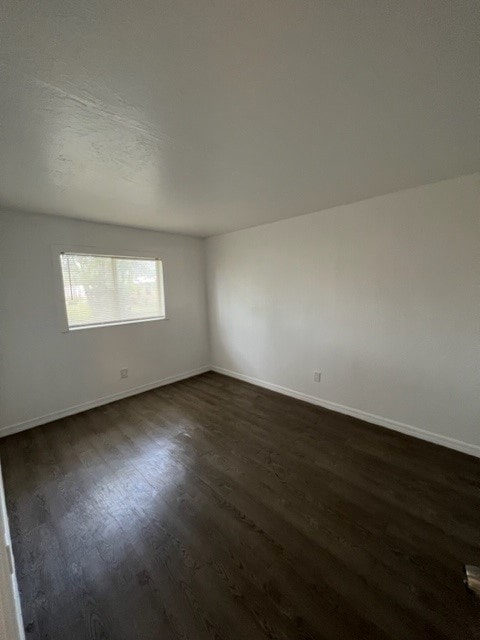 Gallery Photo 1